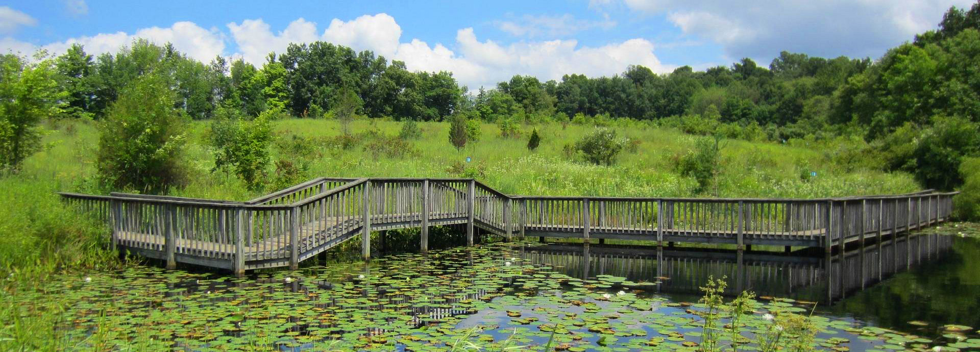 Slideshow Image - Gorman Nature Center Pond