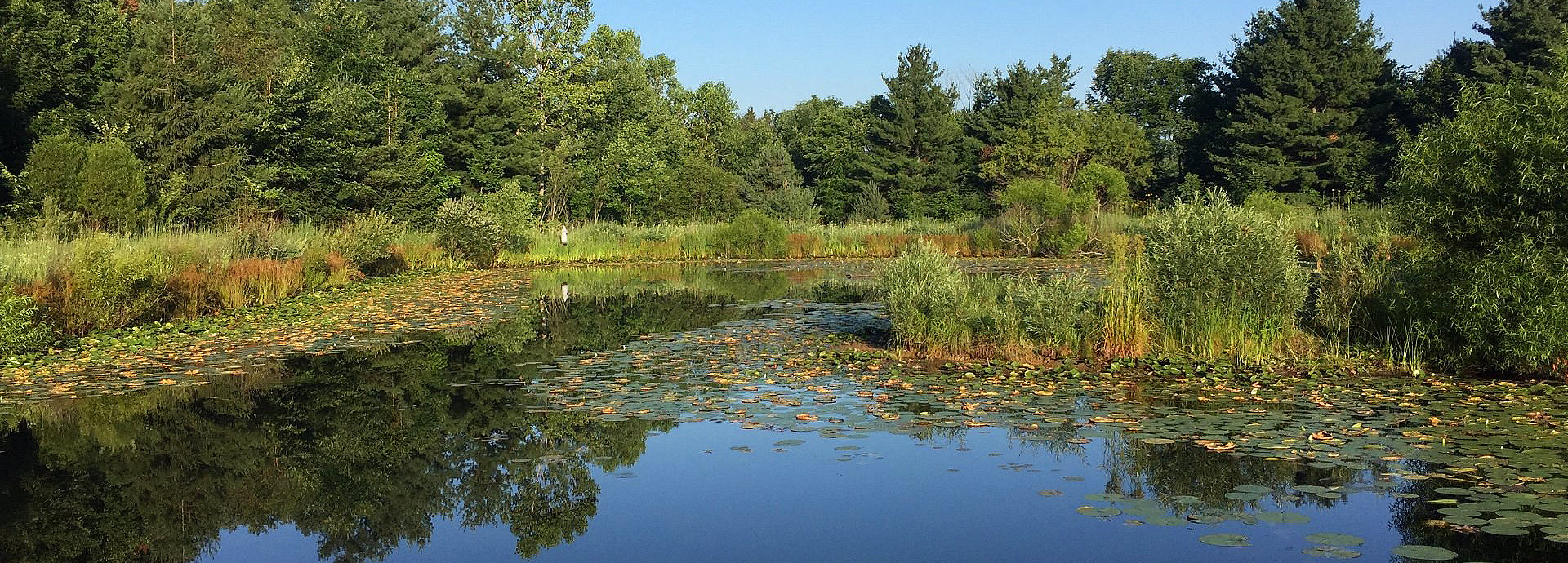 Slideshow Image - The main pond at GNC