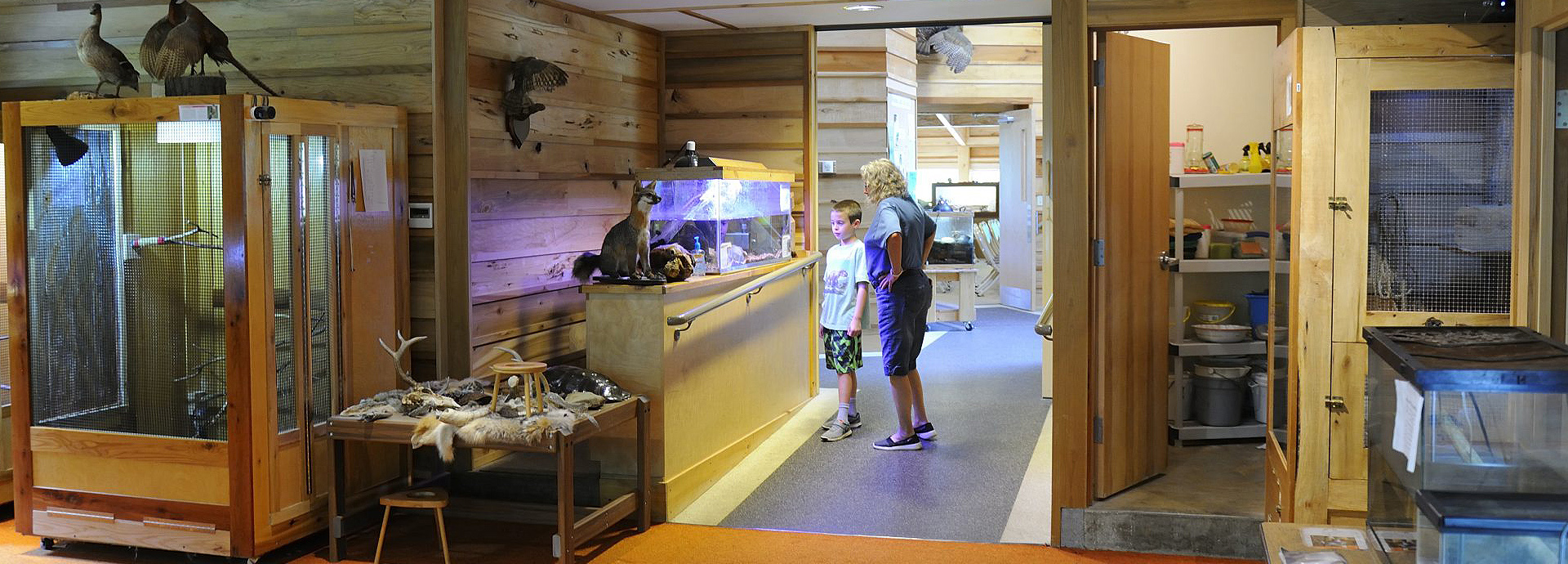 Slideshow Image - Two people observing painted turtles inside the nature center