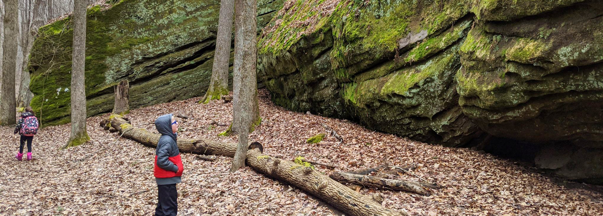 Slideshow Image - A young boy staring up at a large mossy rock face