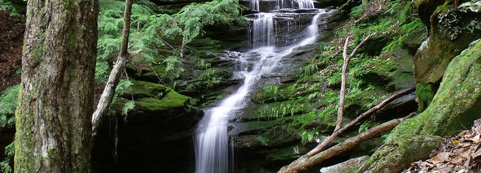 Slideshow Image - A waterfall cascading down lush green cliffs
