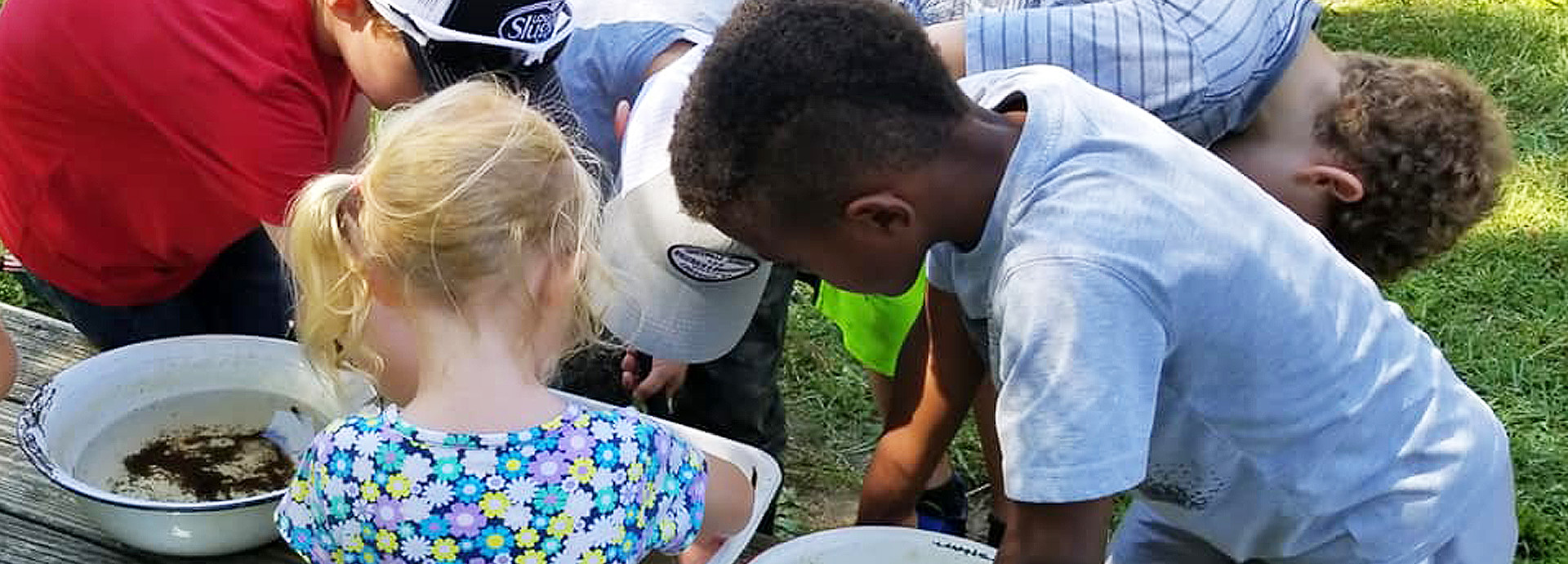 Slideshow Image - Several children performing a pond study
