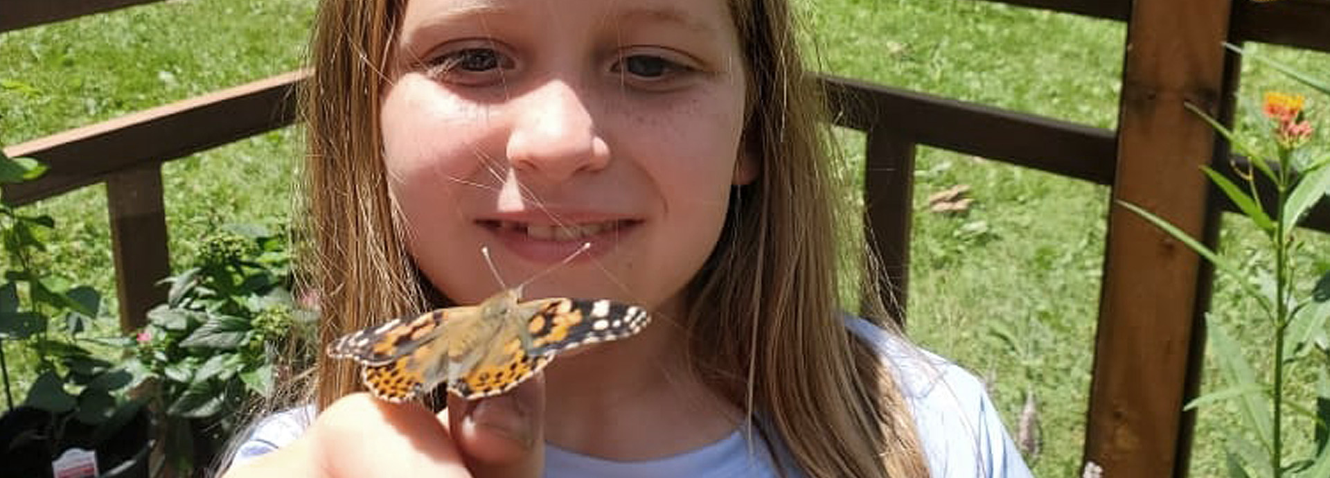 Slideshow Image - A girl scout holding a Painted Lady butterfly
