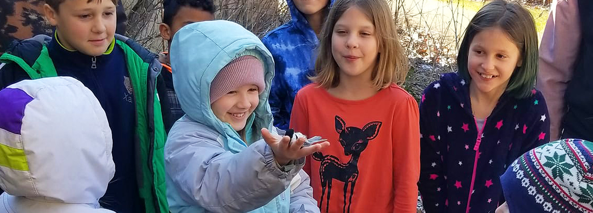 Slideshow Image - A small child releasing a freshly tagged chickadee