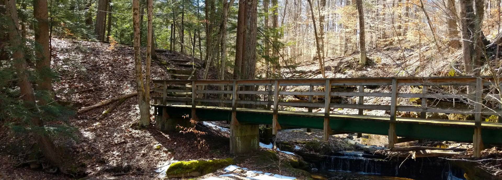 Slideshow Image - A bridge crossing the stream at Fleming Falls
