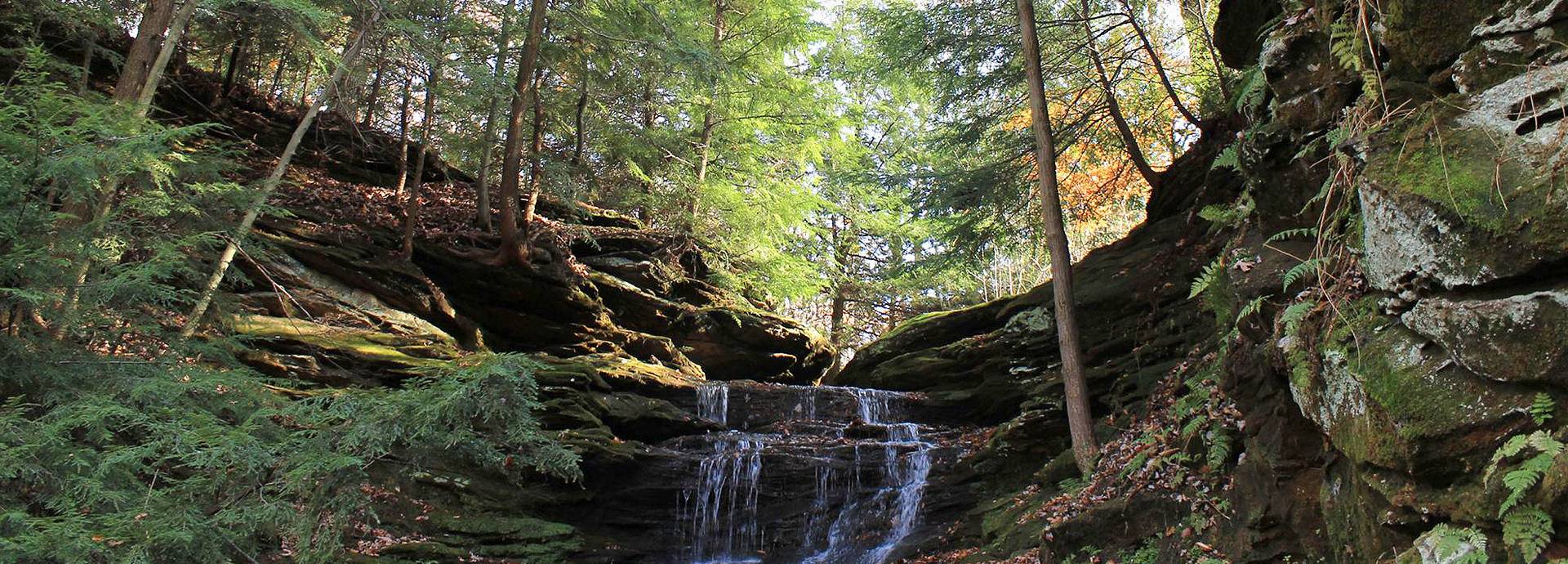 Slideshow Image - Hemlock Falls surrounded in lush green overgrowth