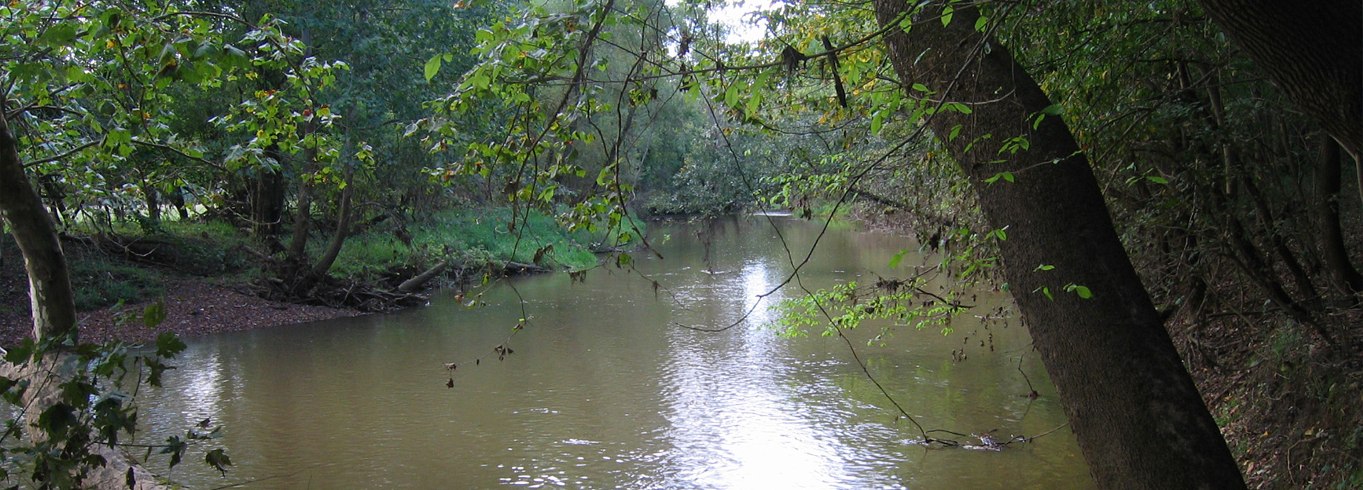 Slideshow Image - A large river surrounded by forests