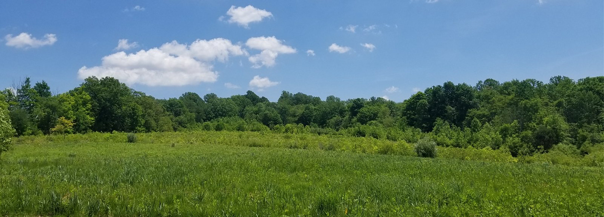 Slideshow Image - GNC's prairie in bright spring colors
