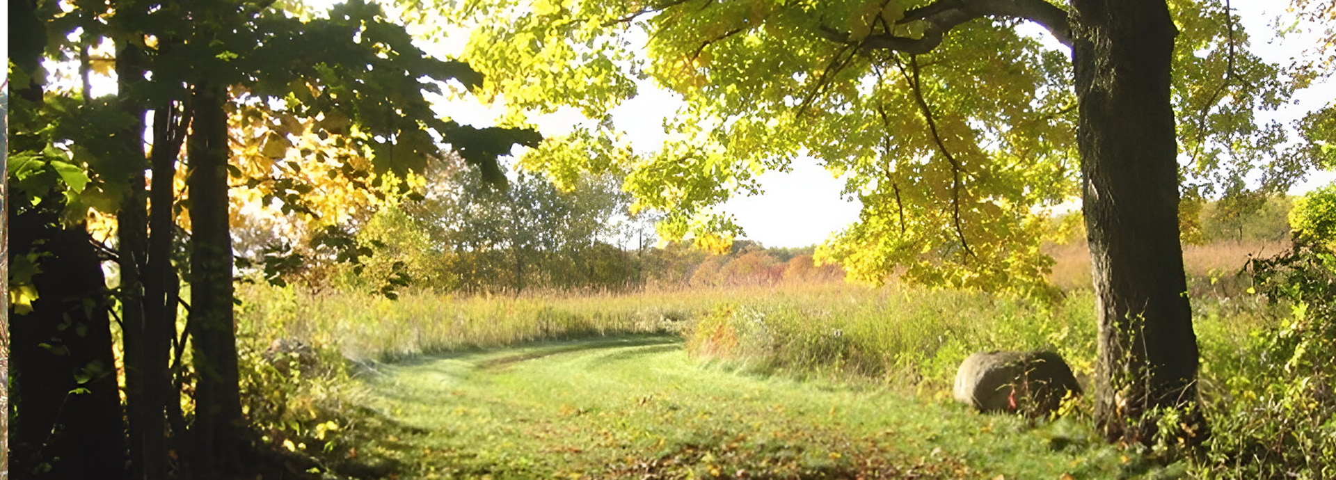 Slideshow Image - A tree in bright fall colors framing a grass path through the prairie